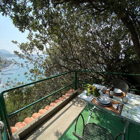 Le Dimore Di Zaro - Green Paradise Forio  Exterior photo