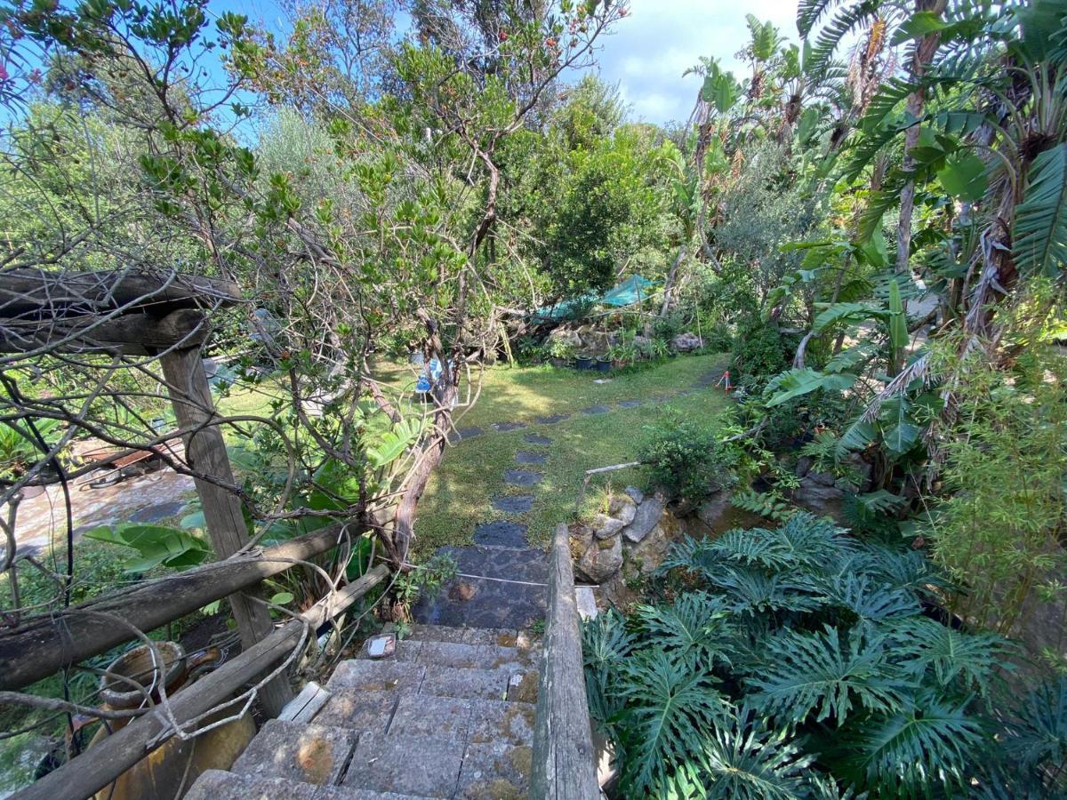 Le Dimore Di Zaro - Green Paradise Forio  Exterior photo