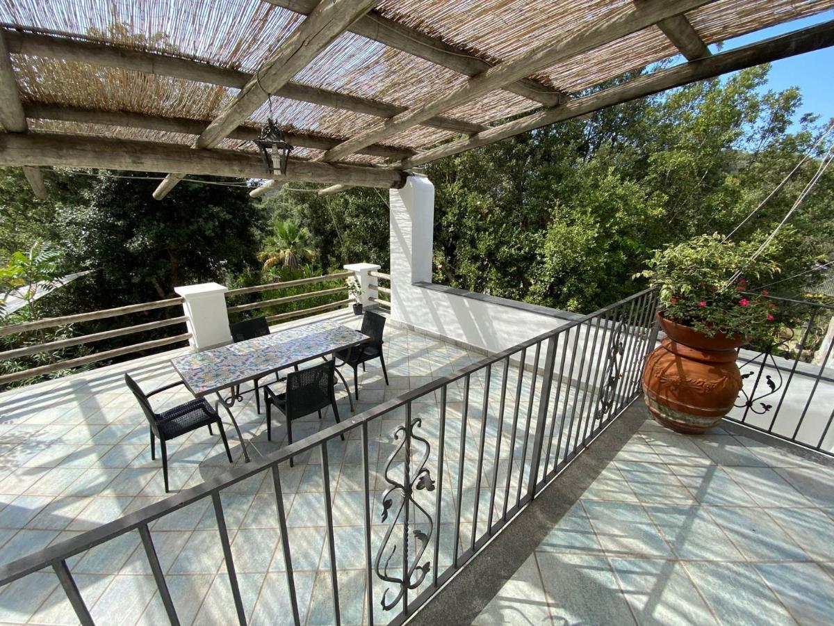 Le Dimore Di Zaro - Green Paradise Forio  Exterior photo