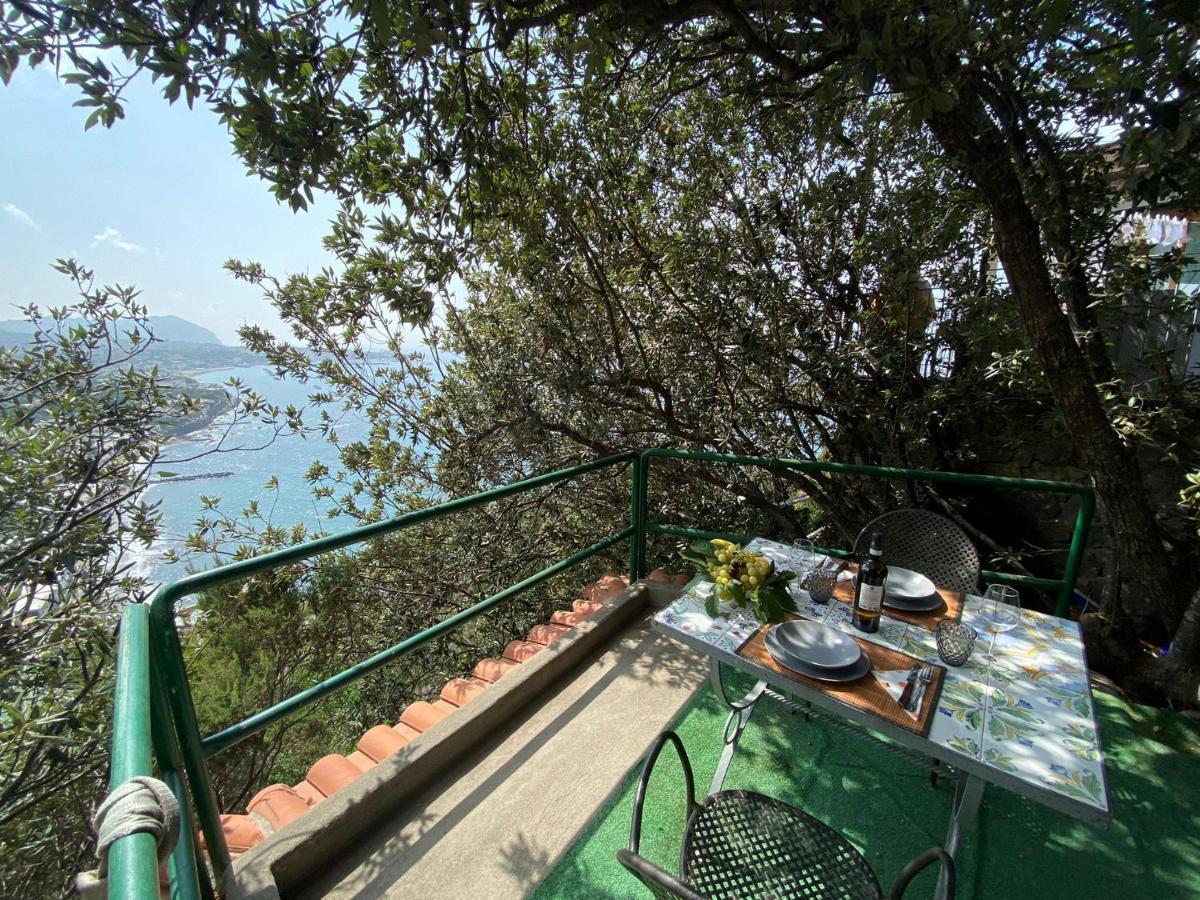 Le Dimore Di Zaro - Green Paradise Forio  Exterior photo