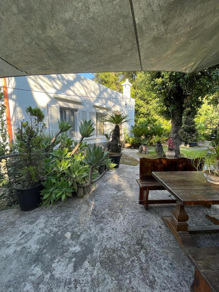 Le Dimore Di Zaro - Green Paradise Forio  Exterior photo